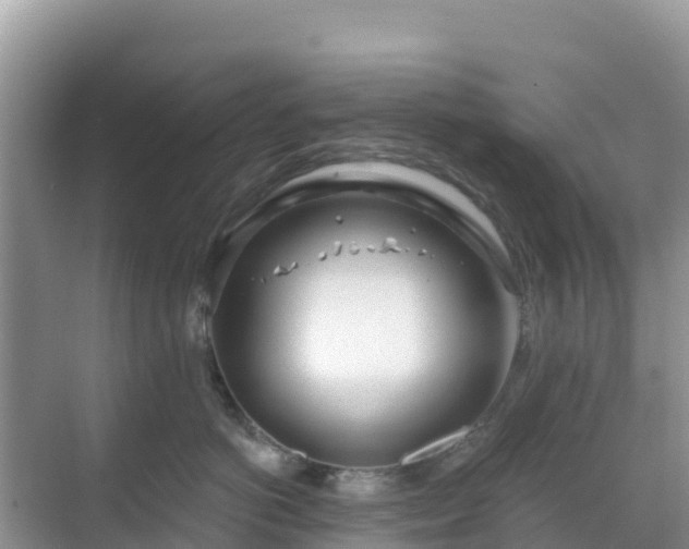 X0000068770766200605051631