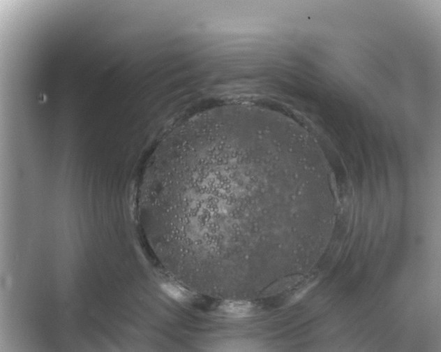 X0000068770767200605051631