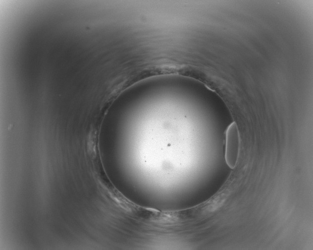 X0000068770768200605051631