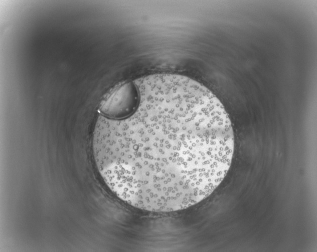 X0000068770769200605051631