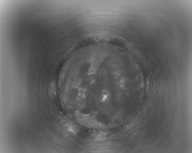 X0000068770772200605051631