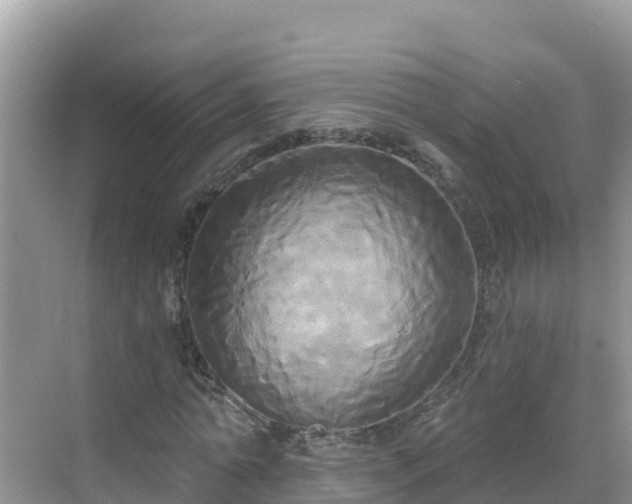 X0000068770774200605051631