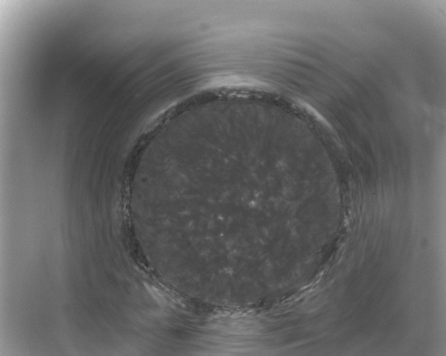 X0000068770775200605051631