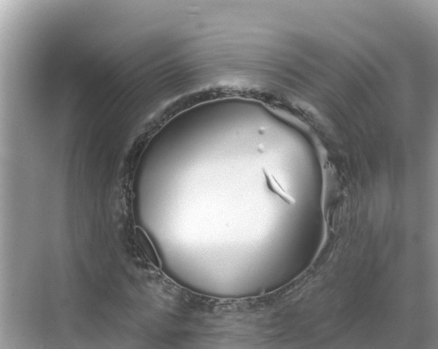 X0000068770776200605051630