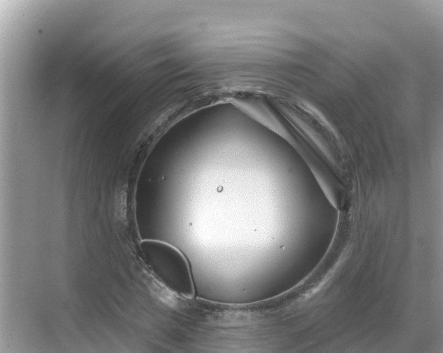 X0000068770777200605051630