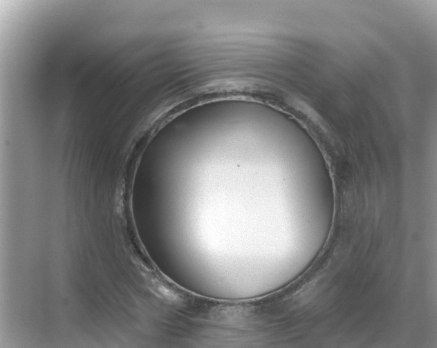 X0000068770778200605051630