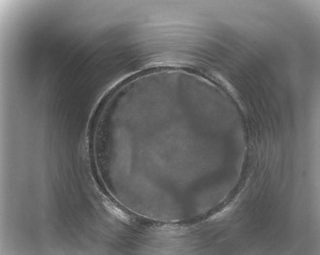 X0000068770779200605051630