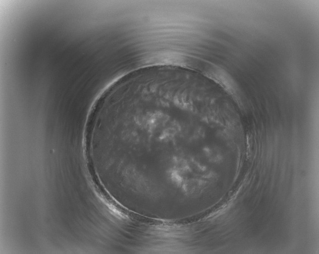 X0000068770780200605051630