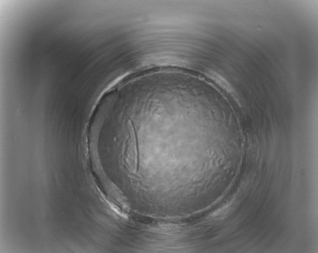 X0000068770782200605051630