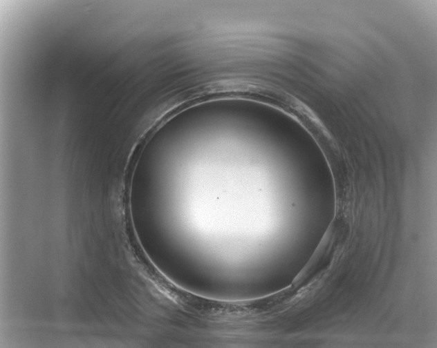 X0000068770786200605051630