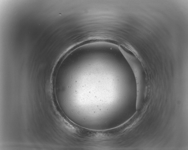 X0000068770787200605051630