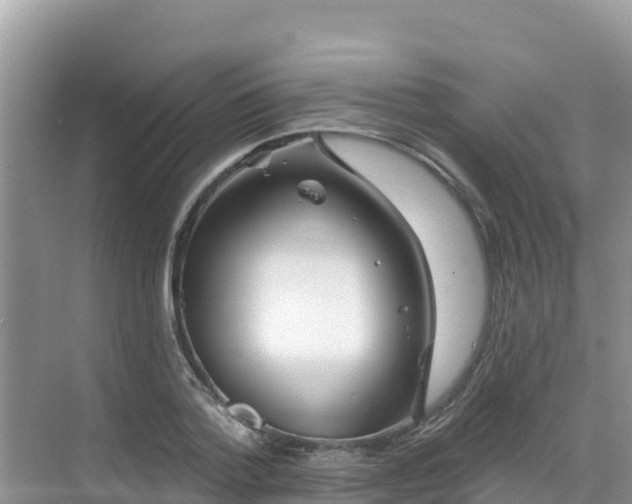 X0000068770788200605051630