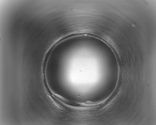 X0000068770789200605051630