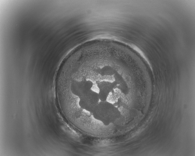 X0000068770791200605051630