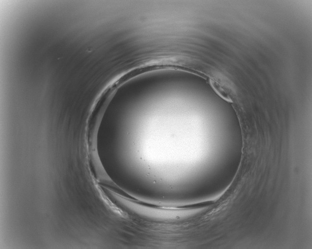 X0000068770792200605051630