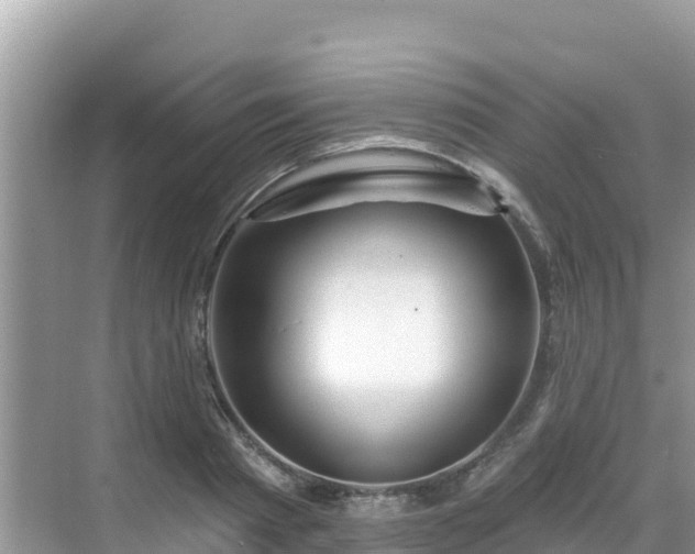 X0000068770793200605051630