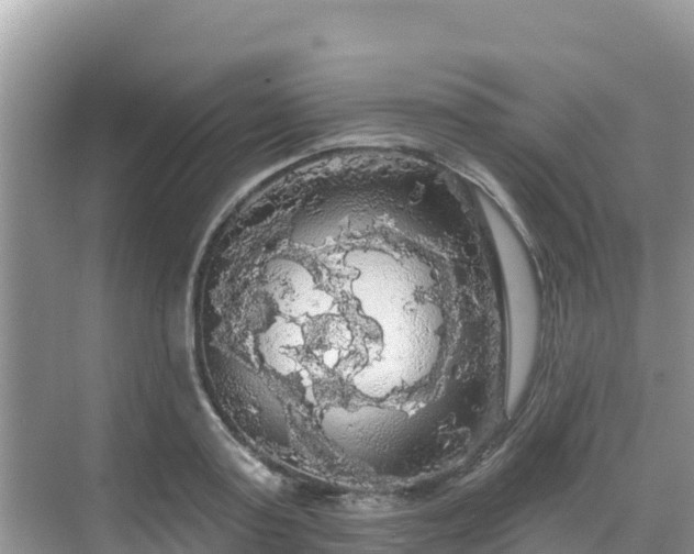 X0000068770795200605051630