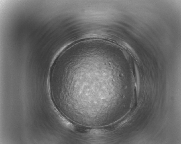 X0000068770796200605051630