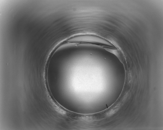 X0000068770797200605051630