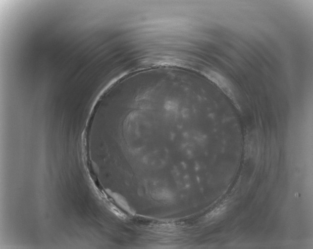 X0000068770798200605051630