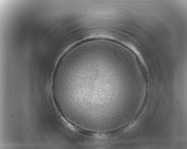 X0000068770799200605051630