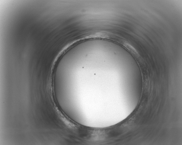 X0000068770800200605051630