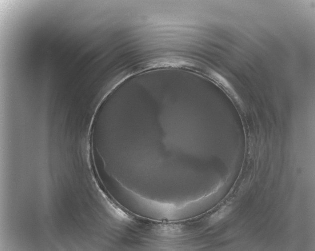 X0000068770802200605051630