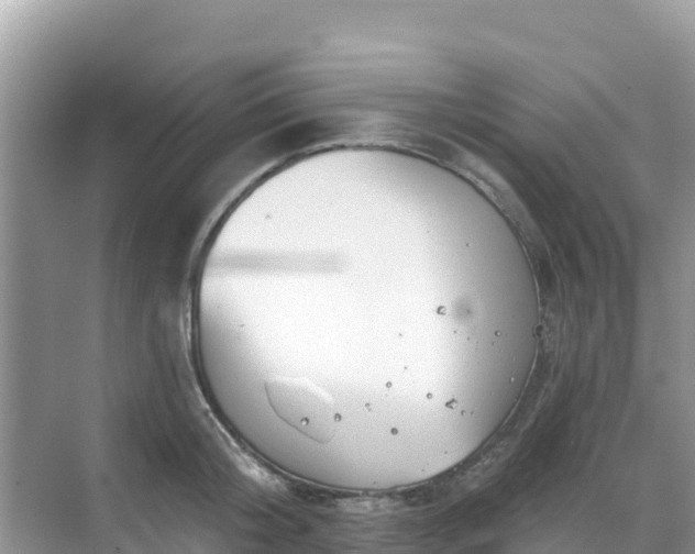 X0000068770804200605051630