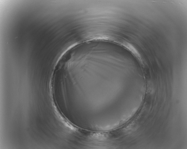 X0000068770806200605051630