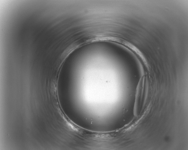 X0000068770809200605051630