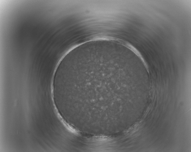 X0000068770811200605051630