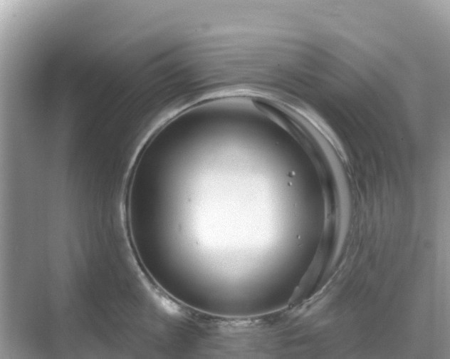 X0000068770813200605051630