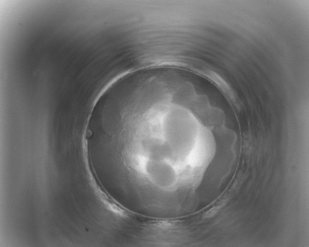 X0000068770814200605051630