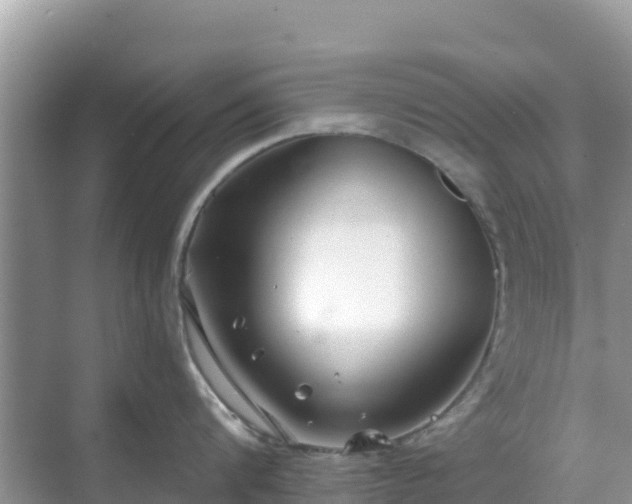 X0000068770816200605051630