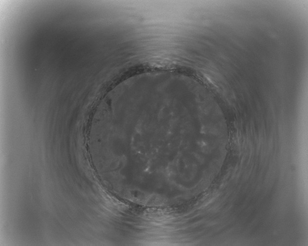 X0000068770817200605051629