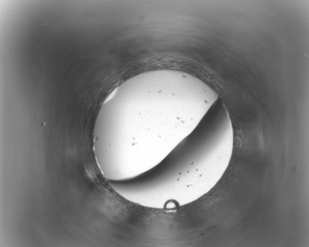 X0000068770820200605051629