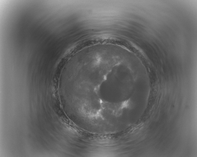 X0000068770823200605051629