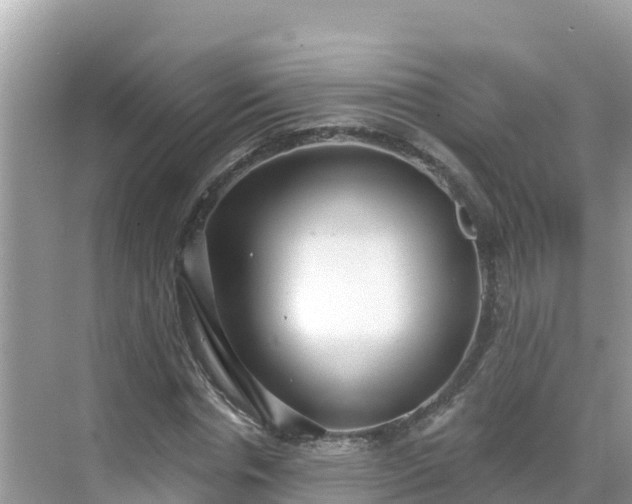 X0000068770826200605051629