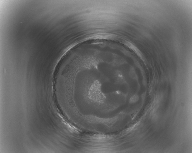 X0000068770829200605051629