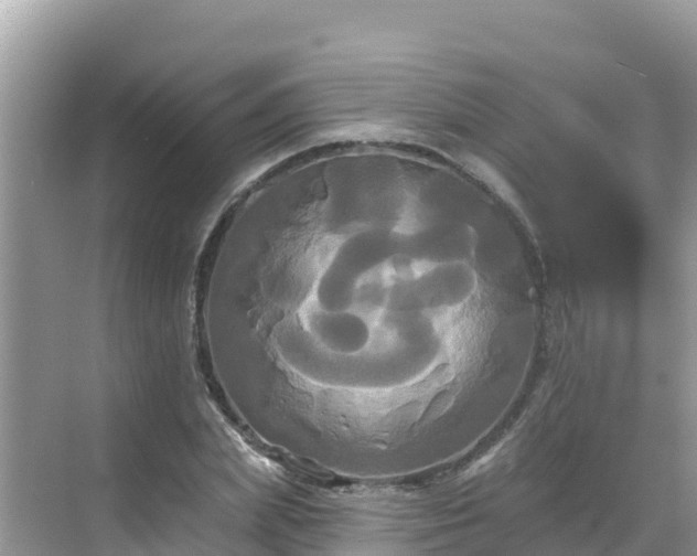 X0000068770831200605051629