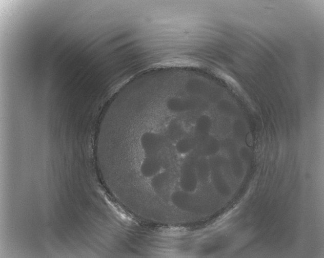 X0000068770833200605051629