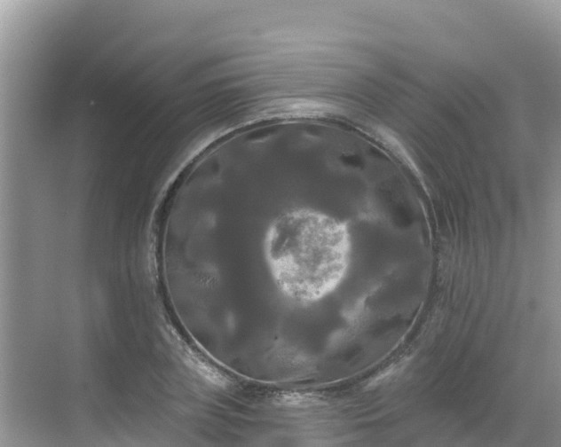 X0000068770835200605051629