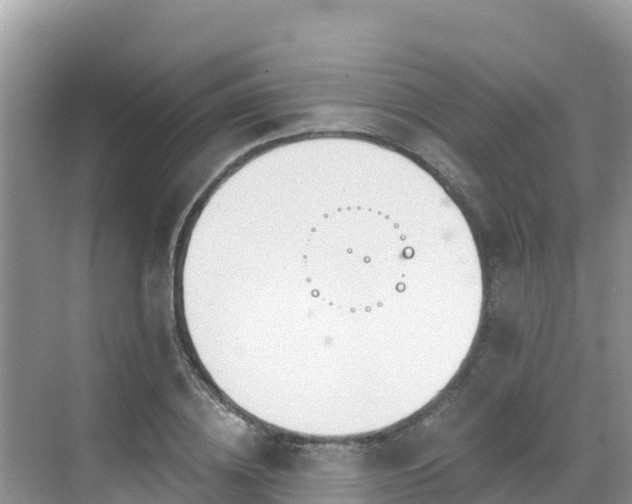 X0000068770836200605051629