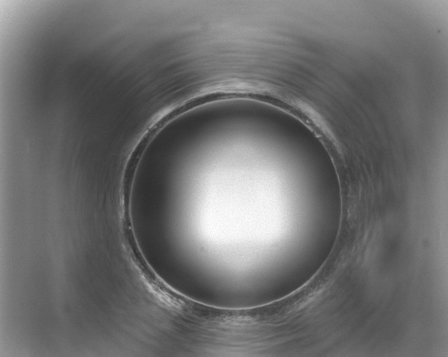 X0000068770837200605051629