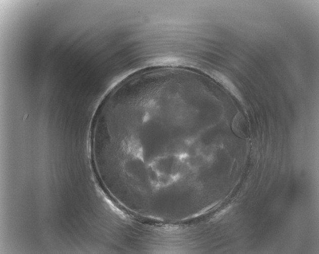 X0000068770839200605051629