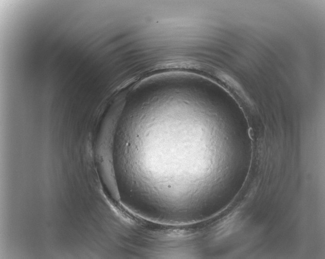 X0000068770841200605051629