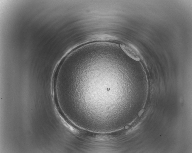 X0000068770843200605051629