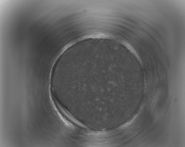 X0000068770845200605051629