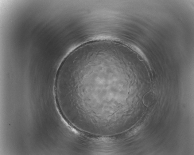 X0000068770847200605051630