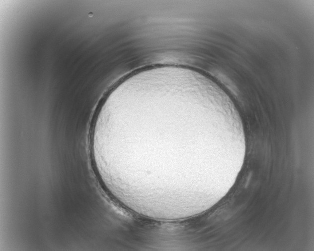 X0000068770848200605051630